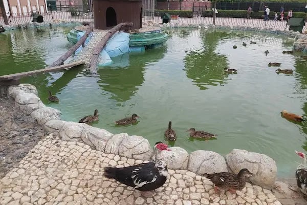 Karatay Belediyesi Hayvanat Bahçesi - Resim 17