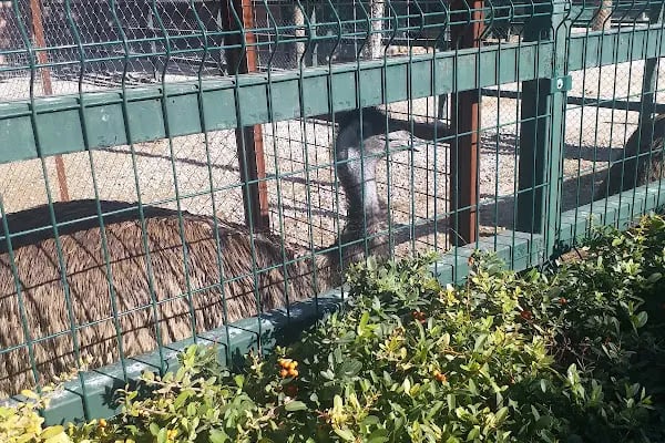 Karatay Belediyesi Hayvanat Bahçesi - Resim 16