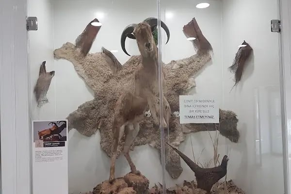 Karatay Belediyesi Hayvanat Bahçesi - Resim 14