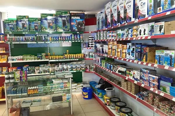 Elit Petshop Adalet Şubesi - Resim 8