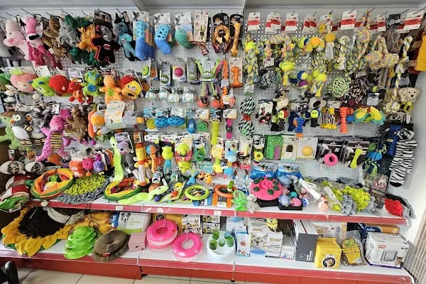 Elit Petshop Adalet Şubesi - Resim 13