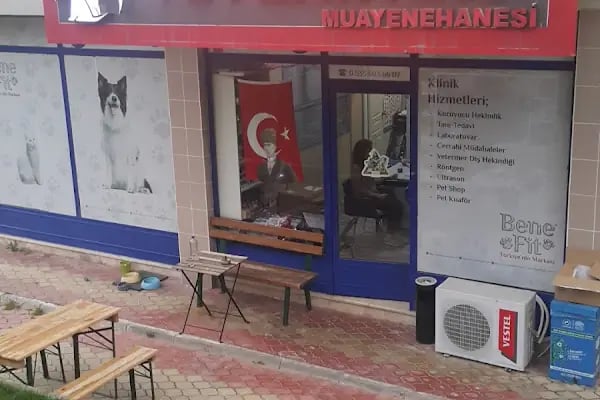 Dodo Veteriner Polikliniği - Resim 17
