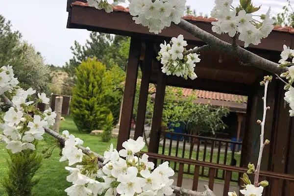İbrice Bungalow - Resim 13