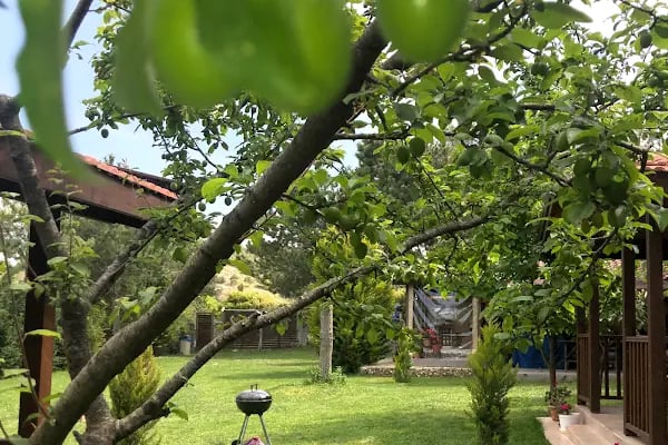 İbrice Bungalow - Resim 12