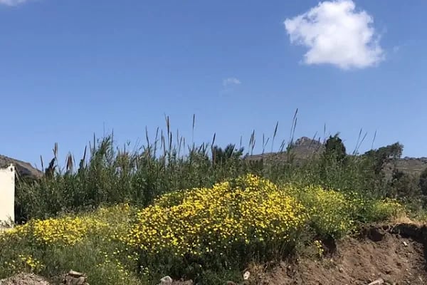Akyarlar Bodrum Minibüs Durağı - Resim 2