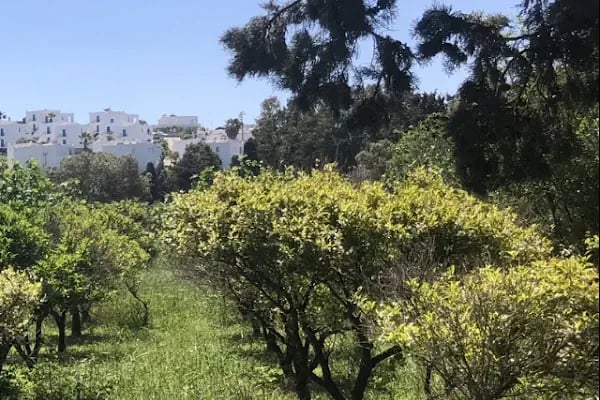 Akyarlar Bodrum Minibüs Durağı - Resim 18