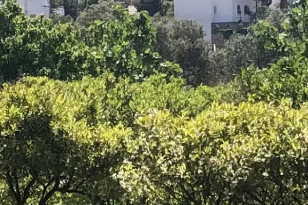 Akyarlar Bodrum Minibüs Durağı - Resim 13