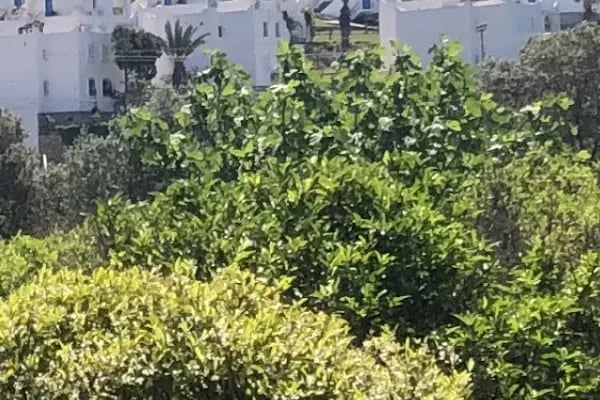 Akyarlar Bodrum Minibüs Durağı - Resim 1