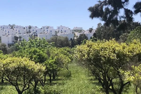 Akyarlar Bodrum Minibüs Durağı - Resim 5
