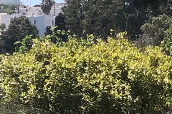 Akyarlar Bodrum Minibüs Durağı - Resim 19