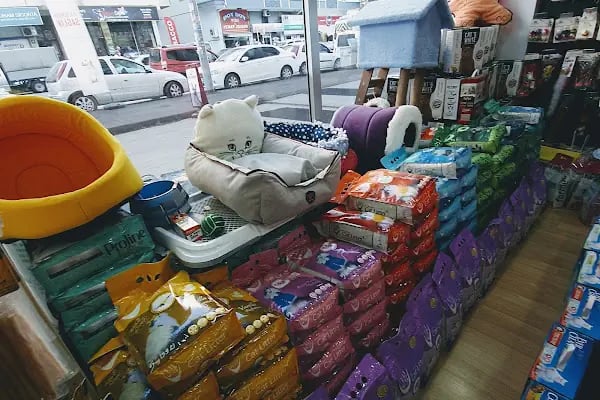 DEMET PETSHOP - Pomeranian Toypoodle Muhabbet Kuşu Papağan Kedi Köpek Balık Akvaryum Tavşan Hamster Kaplumbağ - Resim 17