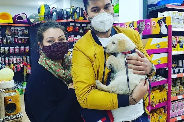 DEMET PETSHOP - Pomeranian Toypoodle Muhabbet Kuşu Papağan Kedi Köpek Balık Akvaryum Tavşan Hamster Kaplumbağ - Resim 3