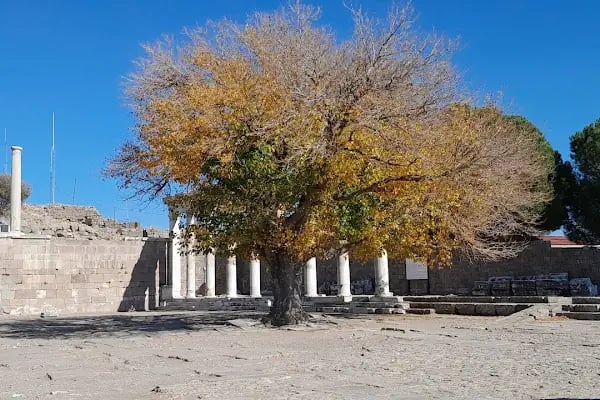 Akropol - Resim 20