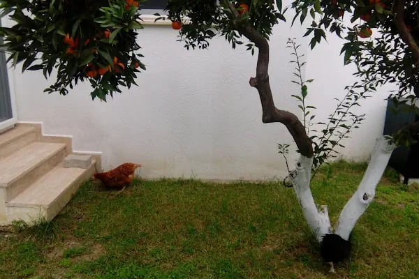 Ege Park Villaları - Resim 2