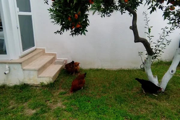 Ege Park Villaları - Resim 4