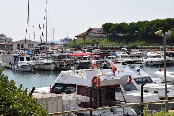Ulusal Egemenlik Parkı Ve Atatürk Evi Müzesi - Resim 4