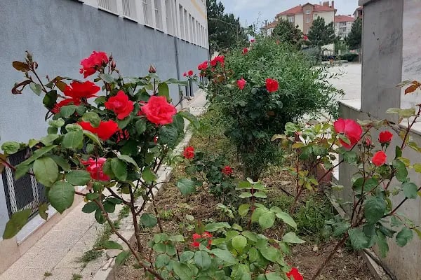 Akşehir Ticaret Lisesi - Resim 12