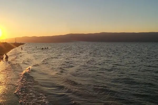 Gemsaz Pide ızgara köfte - Resim 17