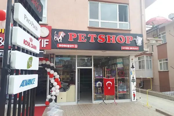 Hobişov Akvaryum - Resim 2