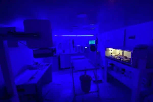 CADDE Veteriner Kliniği- ERZURUM - Resim 8