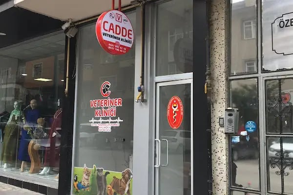 CADDE Veteriner Kliniği- ERZURUM - Resim 19