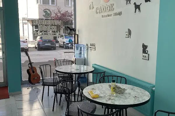 CADDE Veteriner Kliniği- ERZURUM - Resim 20