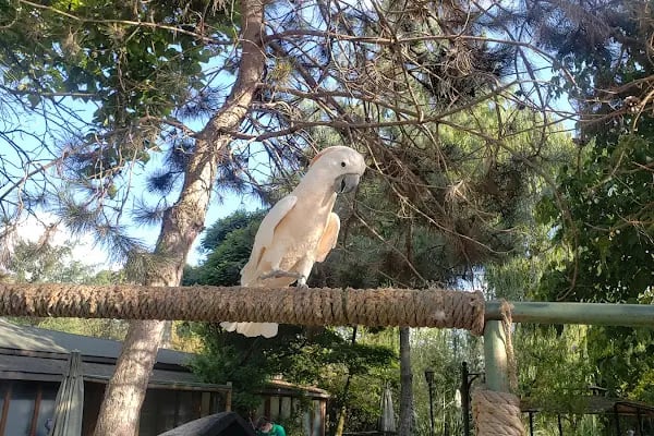 Polonezköy Zoo Park - Resim 11