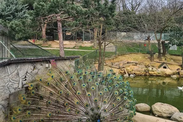Polonezköy Zoo Park - Resim 6