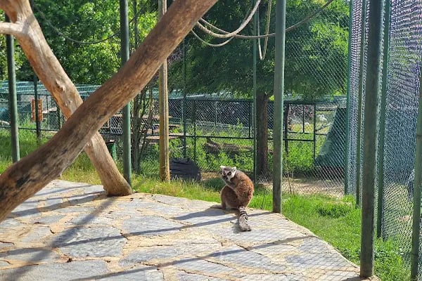 Polonezköy Zoo Park - Resim 13