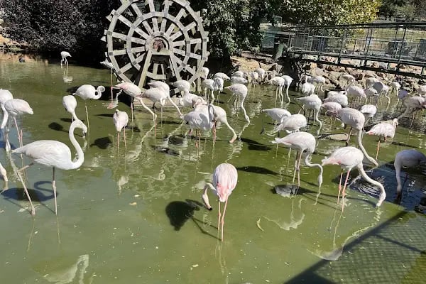 Polonezköy Zoo Park - Resim 7