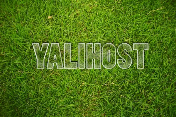 Yalıhost - Resim 2