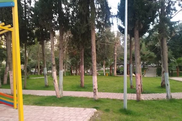 Doğal Park Balo Salonu - Resim 11