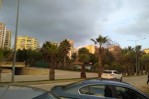 Doğal Park Balo Salonu - Resim 14