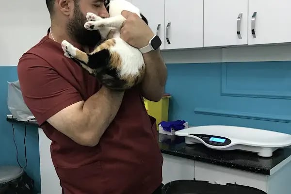 Bi Veteriner Kliniği - Resim 10