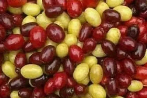 Macun Salı semt pazarı - Resim 3
