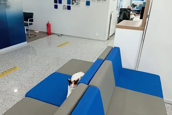 Türkiye İş Bankası Ataşehir/İstanbul Şubesi - Resim 5