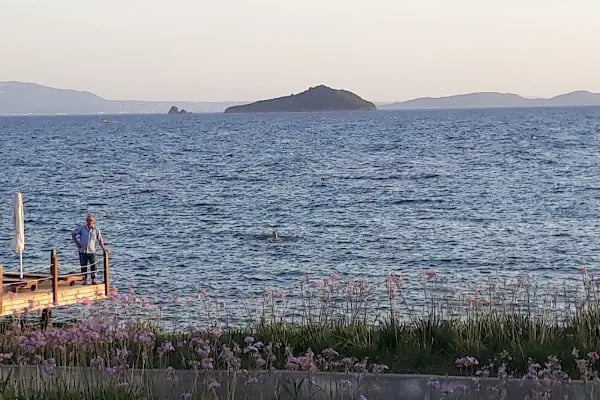 Bodrum Infinity Villas - Holiday Homes &amp; Art - Resim 17
