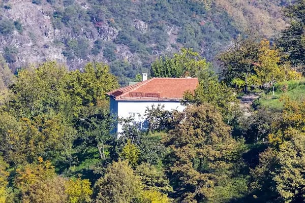 Servetiye Camii Köyü Muhtarlığı - Resim 14