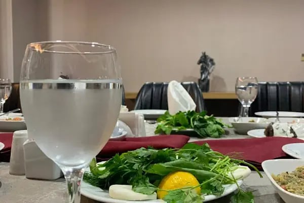 Grand Termal Yalova Resort Hotel & Spa - Resim 7