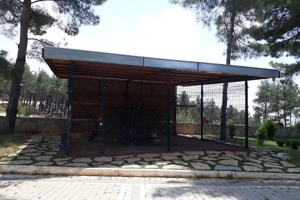 Dulkadiroglu Hayvanat Bahçesi - Resim 14