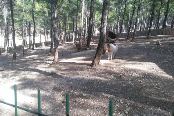 Dulkadiroglu Hayvanat Bahçesi - Resim 1