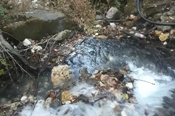 Turgutreis Halk Plajı - Resim 16