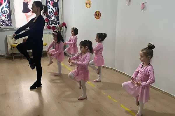 Güneş Sanat Akademisi - Resim 4