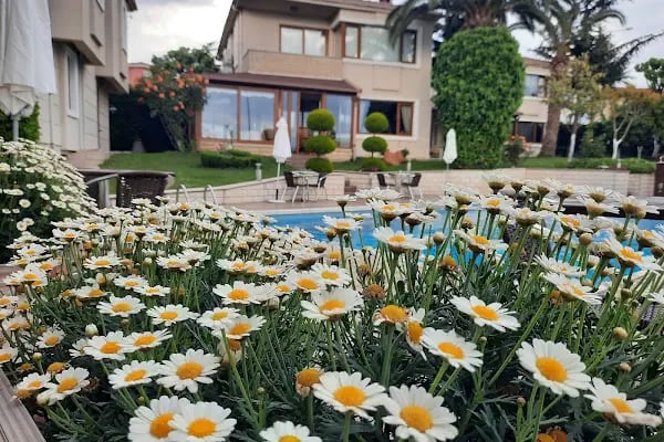 Parla Viens Suites - Resim 5