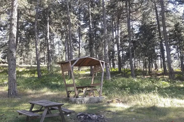 Lagari Kids Oyun Evi & Cafe - Resim 5