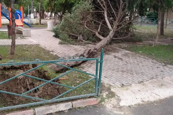 Recai Kutan Parkı - Resim 12