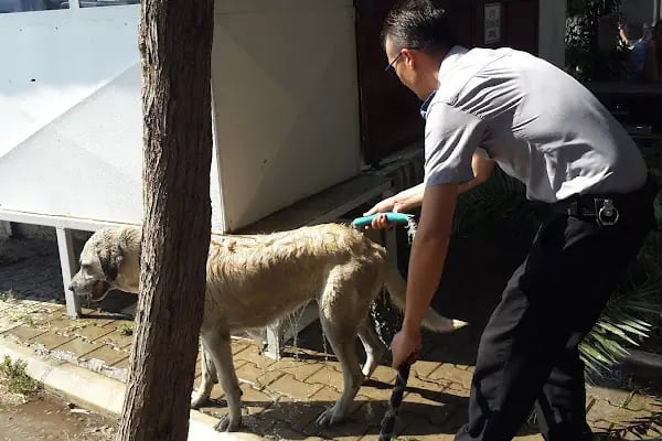 Eshot Otobüs Garajı - Resim 3