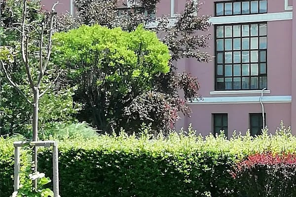 Dışkapı Pazarı - Resim 18
