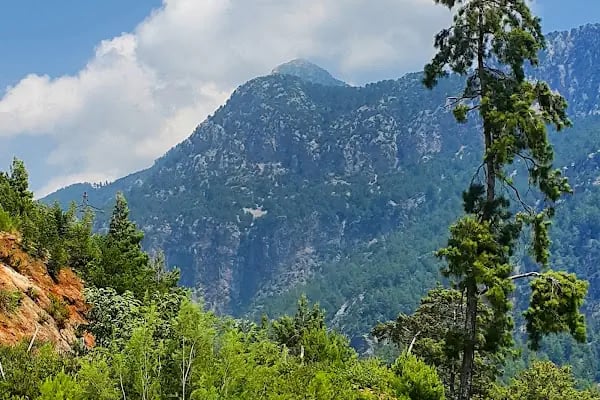 Sevgi Su Parkı - Resim 2