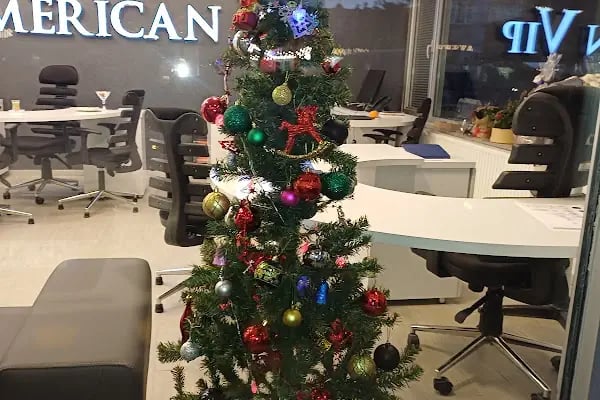 Konya Nalçacı American Vip Dil Kursu - Resim 2